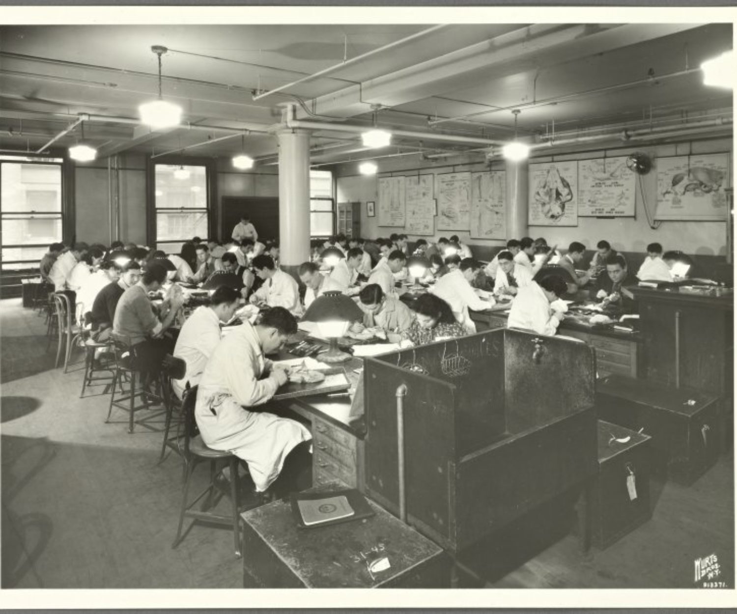 Irma and Paul Milstein Division of United States History, Local History and Genealogy, The New York Public Library. (1887 - 1964). Washington Square Retrieved from http://digitalcollections.nypl.org/items/510d47e2-c2e9-a3d9-e040-e00a18064a99