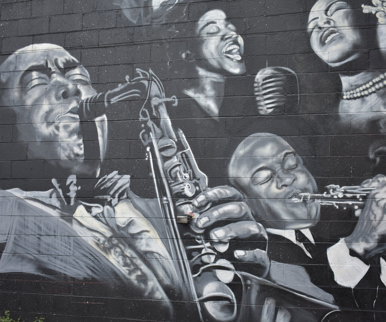 Photo by Janine Robinson on Unsplash