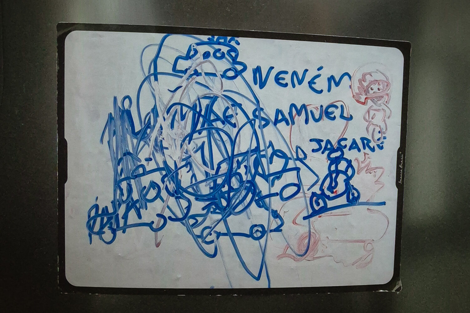 A facilitação gráfica.