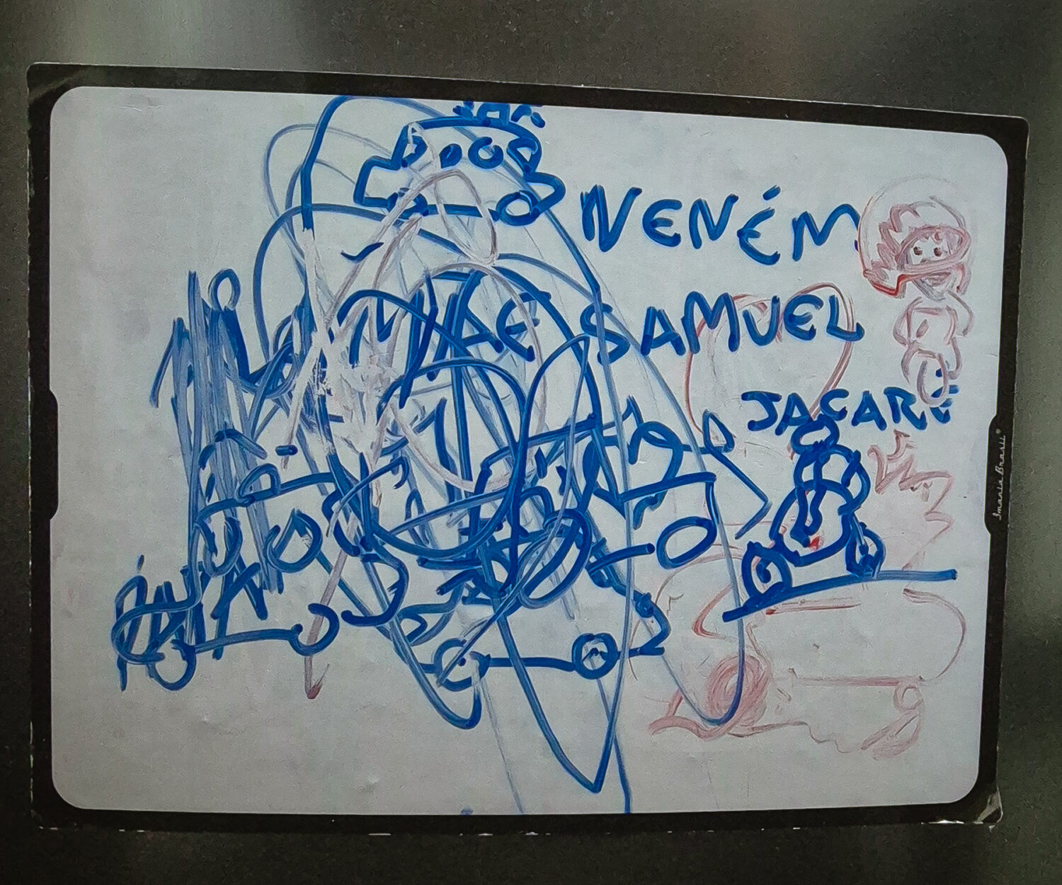 A facilitação gráfica.