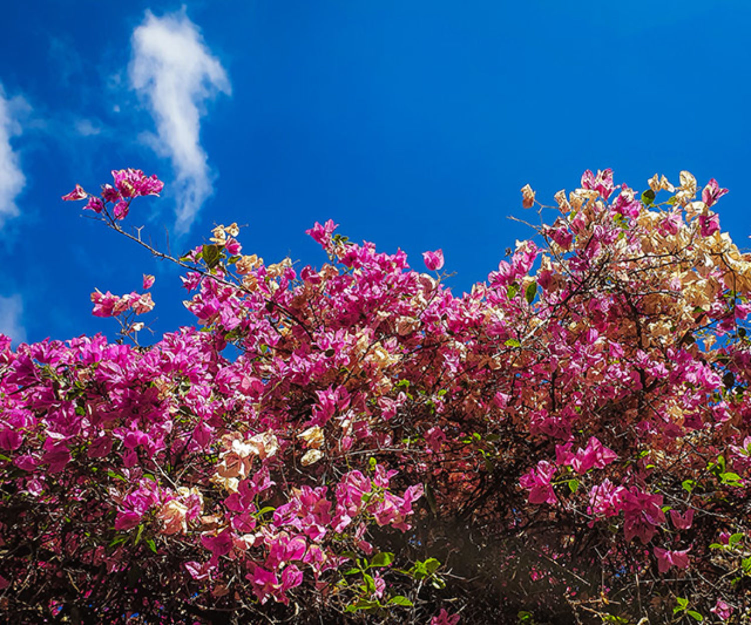 Essa foto tem a ver com um projeto antigo que eu morria de medo de tirar do papel.